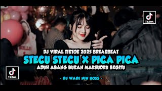 Download lagu DJ STECU STECU X PICA PICA 2025 BREAKBEAT VIRAL TIKTOK MELODY KENCENG [ DJ WADI BREAKBEAT  ] mp3