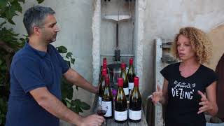 Camille Lapierre - Les sols de l'appellation Morgon/The soils of Morgon