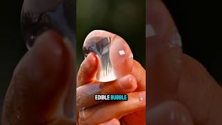 Download lagu This Seaweed Water Bubble Could Replace Plastic Bottles #reels #facts mp3