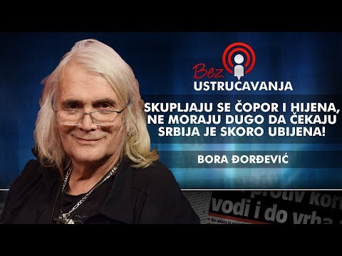 Bora Đorđević - Skupljaju se čopor i hijena, ne moraju dugo da čekaju Srbija je skoro ubijena!