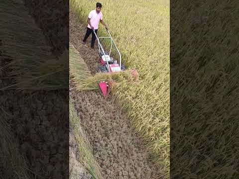 kamco reaper #kamcoreaper