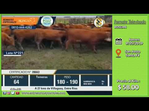 09-05-19 - Venta de Hembras - Remate Televisado de ROSGAN - Santa Fé