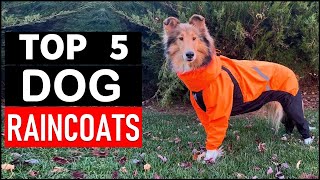 Top 5 Best Dog Raincoats in 2026