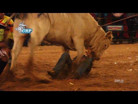 Rodeio de Riolândia 2016 - MELHOR TOURO