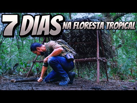 On the Edge of Survival EP 6 🌿 I Faced Hunger, Rain and Snakes in the Brazilian Jungle!