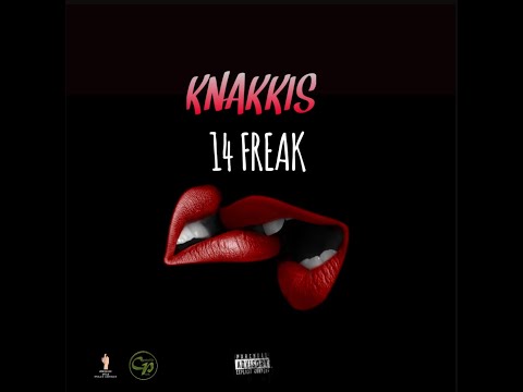 Knakkis - 14 Freaks ( Official Audio)