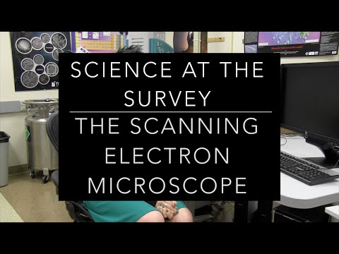 The Scanning Electron Microscope