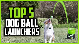 ✅ Top 5 Best Dog Ball Launchers in 2026