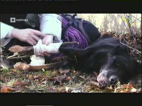 Neveneffecten - S01E02: De bron van de E40