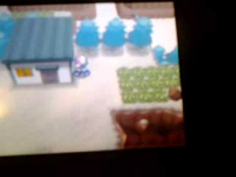 dove si trova il laboratorio p&p