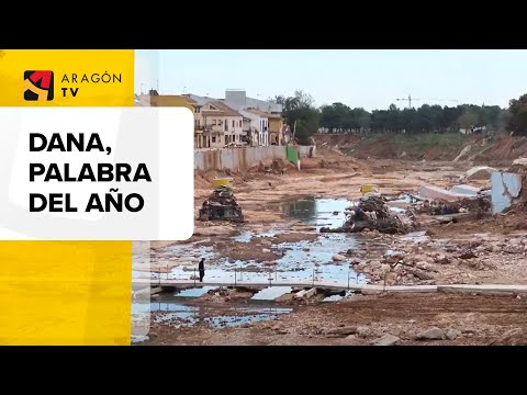 𝐃𝐀𝐍𝐀 es la palabra del año 2024 para Fundeu