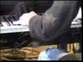 Petar Grašo - Ljubav jedne žene 
