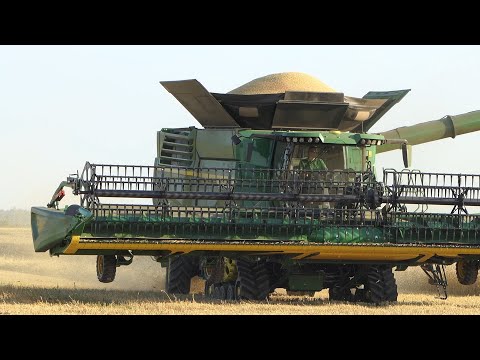 John Deere X9 1100 in the wheat field during the 2020 harvesting season | Danish Agriculture