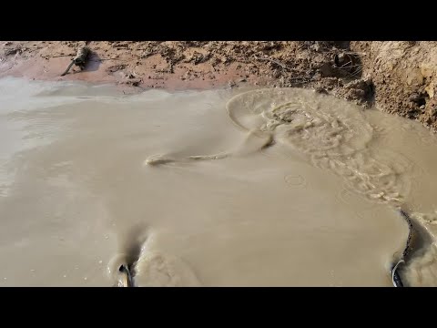 15  Amazing electric fish 2023 || use electricity to catch big fish fast in deep water