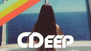 Alexander Shofler - Fast Life (Original Mix)