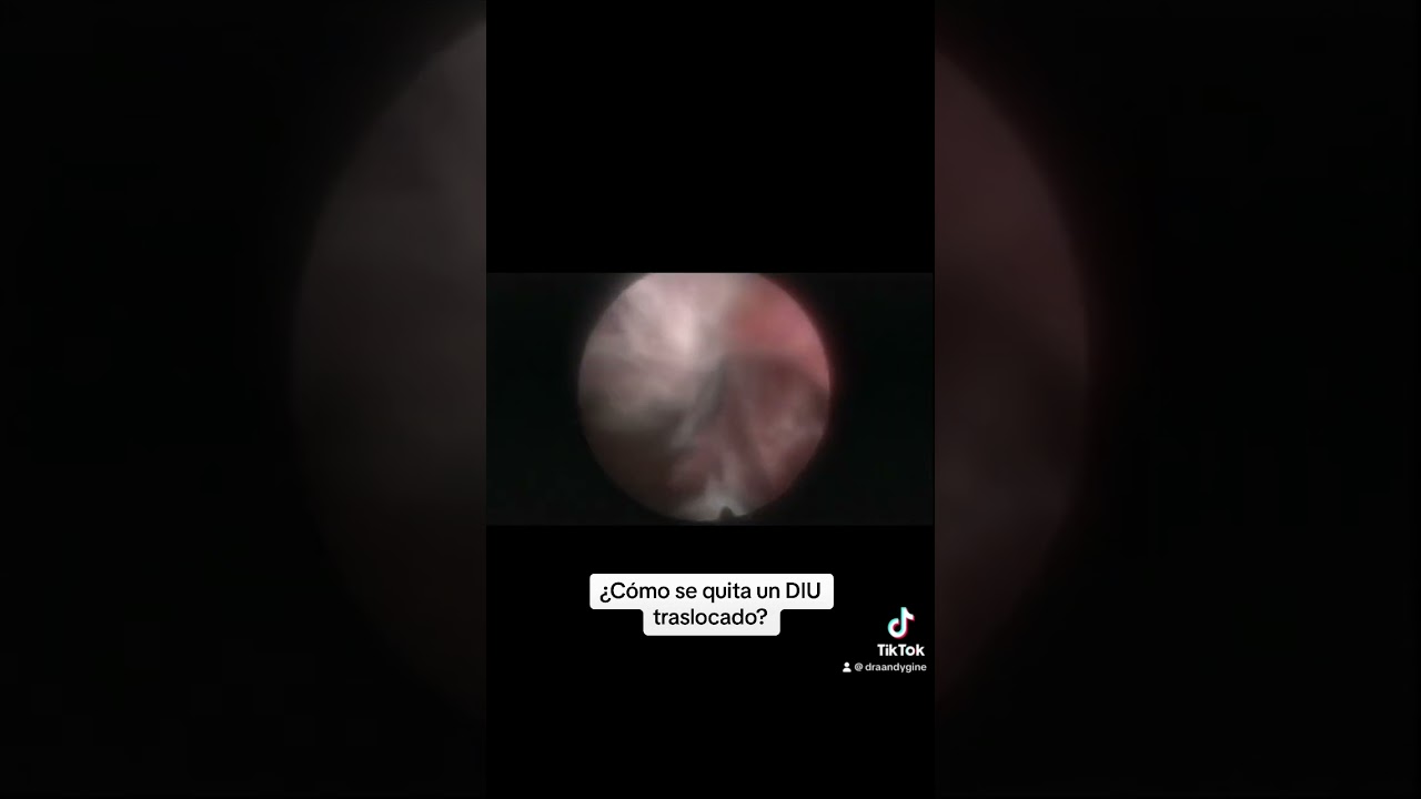 Andrea Vazquez Camacho-1