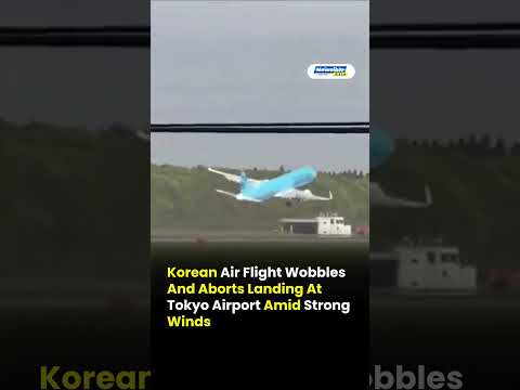 Korean Air Flight Wobbles And Aborts Landing At Tokyo Airport Amid Strong Winds