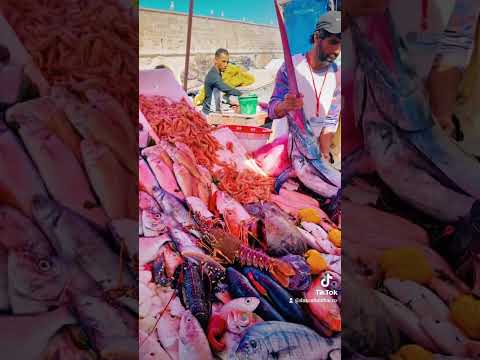 🐟🐠 Fish market in Essaouira 🇲🇦 #marocexperience #maroc #moroccotravel #travelinmorocco #essaouira