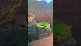 Download lagu 15 October 2024 mp3