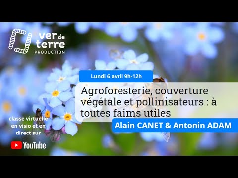 , title : 'Agroforesterie, couverture végétale et pollinisateurs : à toutes faims utiles, avec Alain Canet'