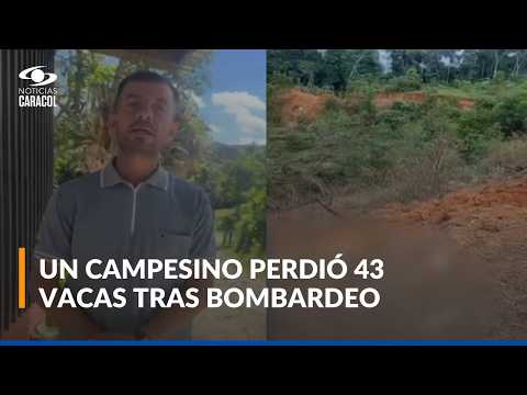 Campesino en Antioquia dice que en medio de bombardeo contra Clan del Golfo murieron todas sus vacas