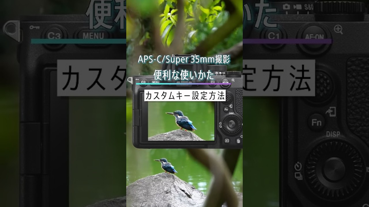 APS-C/Super 35mm撮影　カスタムキー設定方法　#Shorts  #α7 IV