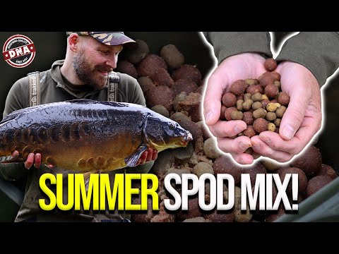 ***ULTIMATE SUMMER SPOD MIX RECIPE*** DNA BAITS | CARP FISHING | SECRET 7 | THE BUG | THE SWITCH