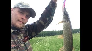 Рыбалка на южных озерах в чеховском районе