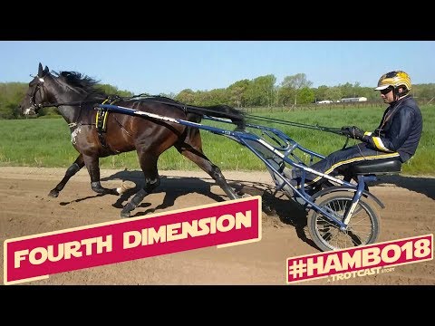 #Hambo18 A TrotCast Story: Fourth Dimension - Melander Stable