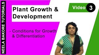 Plant Growth & Development | NEET | Conditions for Growth & Differentiation | Neela Bakore Tutorials