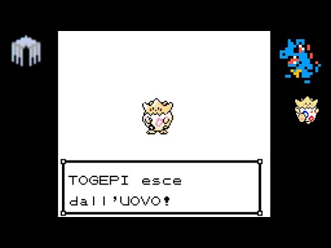 L'uovo si schiude! Pokémon Cristallo All Given Ep05