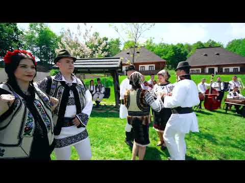 Ghiocel Cioltan și Orchestra „Bogdan Cotruț” - Sârbă de dor