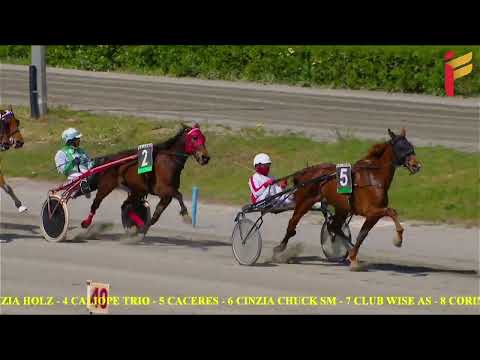 I Corsa del 19 Aprile 2022 - 4 anni Femmine - Metri 1600