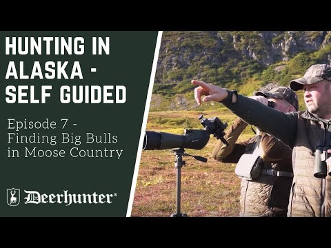 Self-guided Moose & Caribou Hunting in Alaska: Episode 7 – Finding Big Bulls in Moose Country