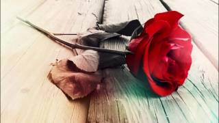 Rappers Against Racism - Sorry