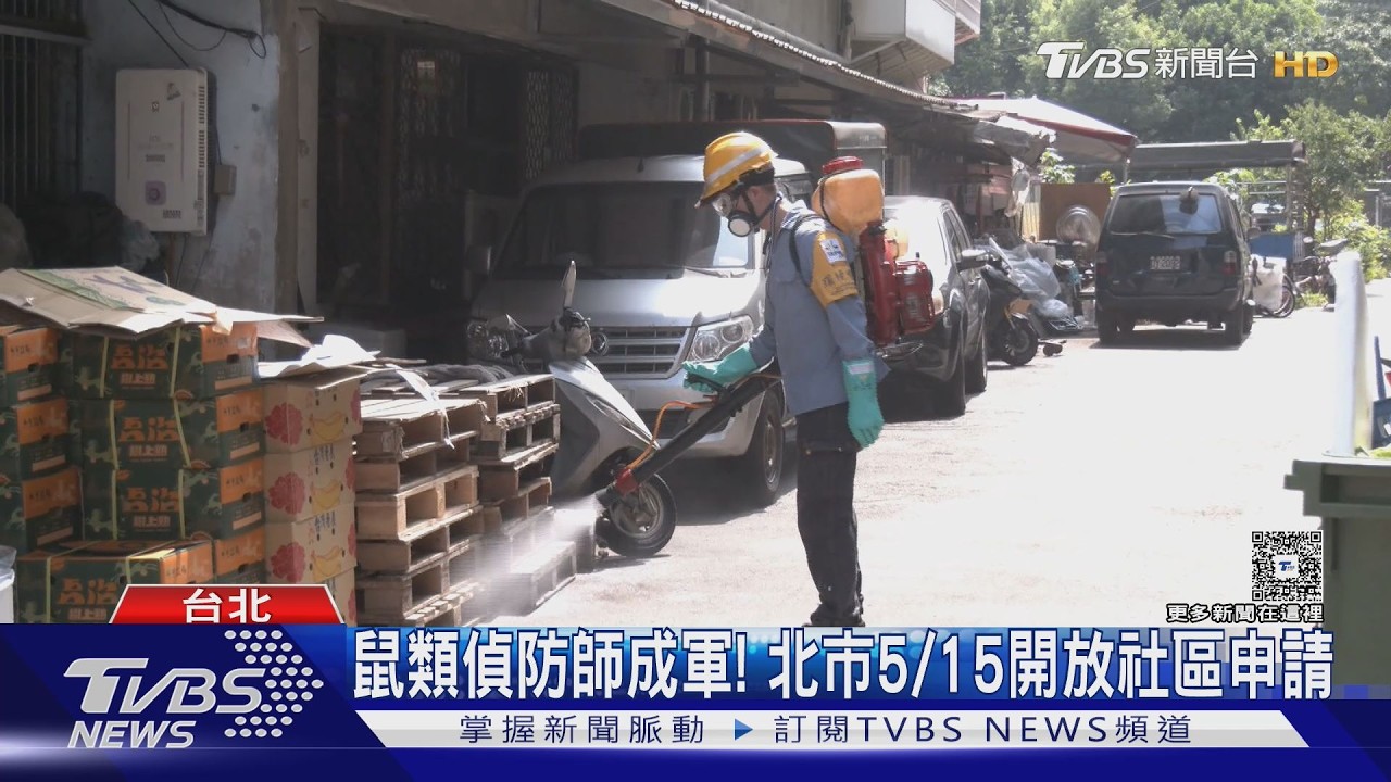台北市「鼠類偵防師」來了!15日正式上工 申請方式看這邊