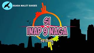 Download lagu 🔵SUARA INAP WALET SI INAP 9 NAGA ORIGINAL ️‼️ By: ACENG , Suara Walet Sukses Terbukti..!!! 🔊 mp3