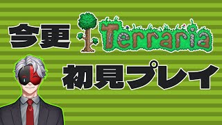 【Vtuber】今更「テラリア」初見プレイ配信㊷【テラリア】