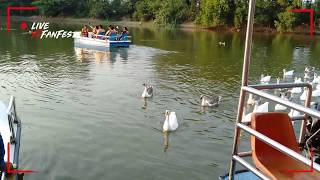 preview picture of video 'DUCKS | AT SAYAJI RAJE WATER PARK| AKLUJ| THEY LOVES EACH HUMAN'