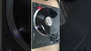 Steven Gore ‎– She...