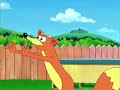 Swiper Funny Moments