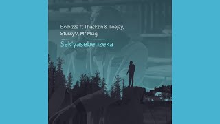 Boibizza ft ThackzinDJ & Tee Jay, StussyV, Mr Miagi - Sek'yasebenzeka