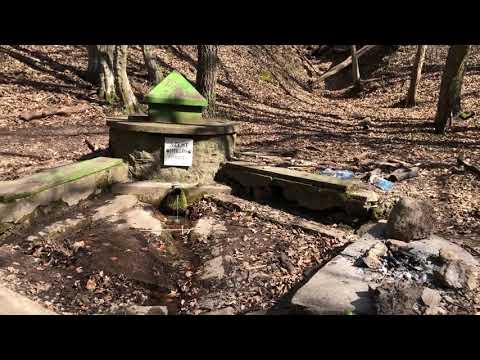 Szent Miklós-forrás: frissítő helyszín a Vállus környékén túrázóknak