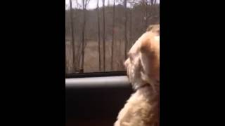 Peter Frampton Unplugged