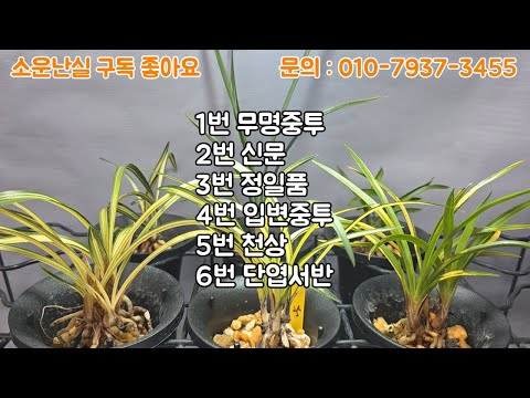 유튜브 썸네일