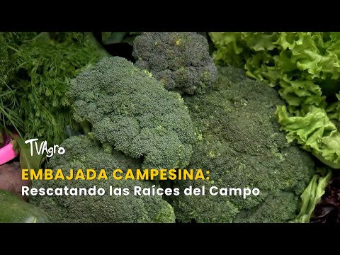 Embajada Campesina: Rescatando las Raíces del Campo - TvAgro por Juan Gonzalo Angel