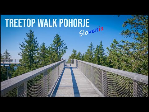 Exploring Treetop Walk Pohorje | SLOVENIA | A Scenic Journey Above the Forest