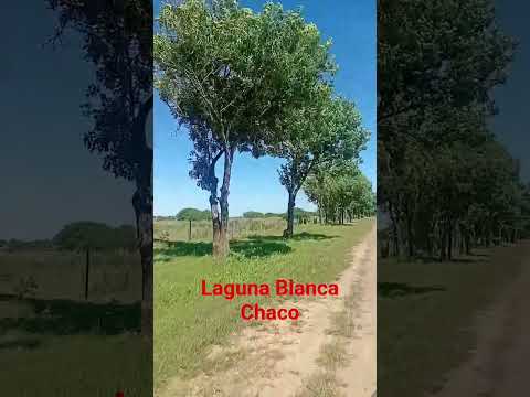 visita a Productor horticola