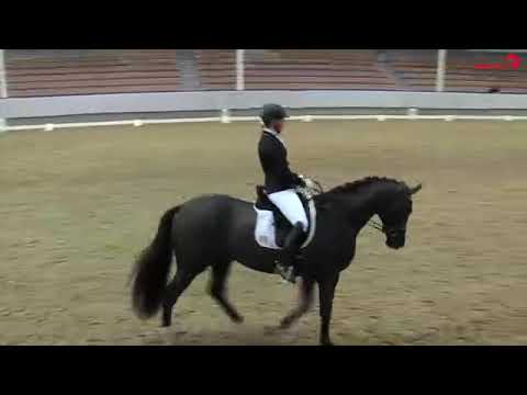 De Beau v. De Niro-Sandro Hit