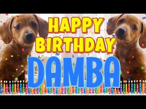 Funny Happy Birthday Damba Song Epic Talking Dogs What Is Free On My Birthday